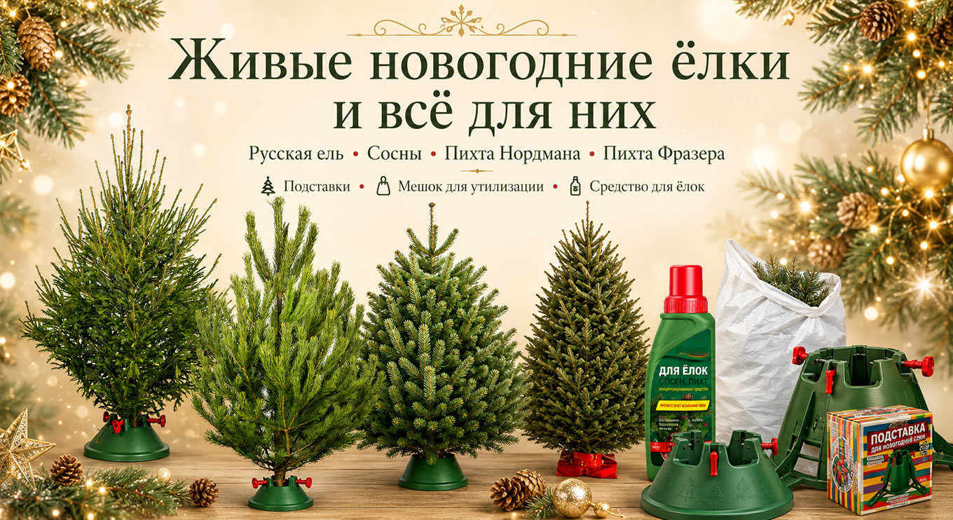Магазин живых елок